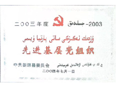 2004年7月，肖尔布拉克酒业公司被中共新源县委员会评为2003年度先进基层党组织